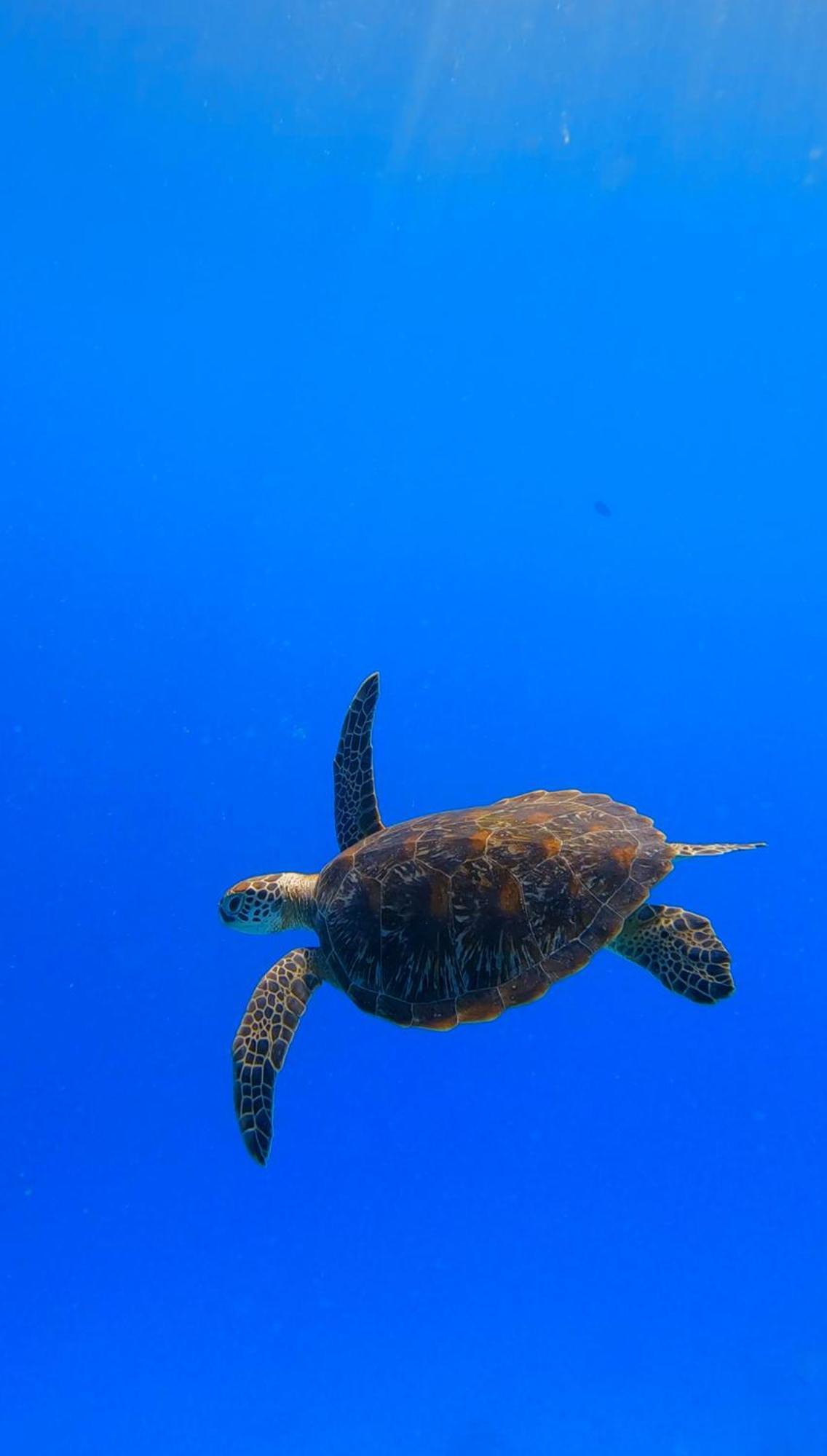 Suvaasa Inn Omadhoo Dış mekan fotoğraf